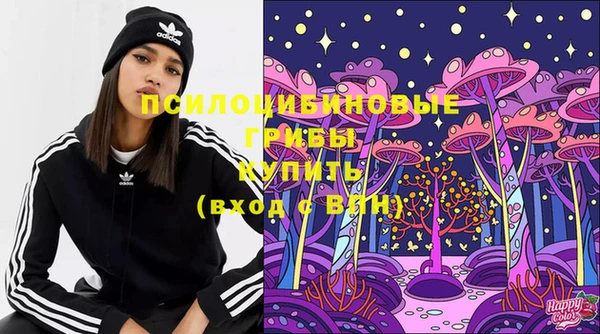 спиды Алексин