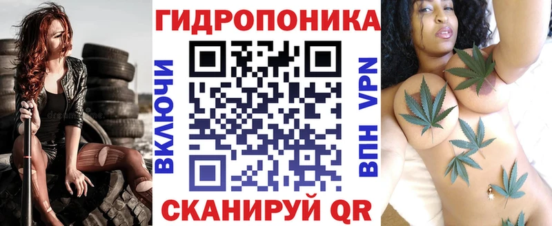 где продают   Луза  Шишки марихуана ГИДРОПОН 